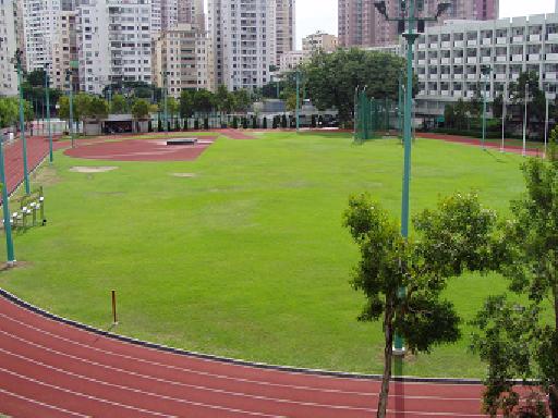 Perth Street Sports Ground facility view